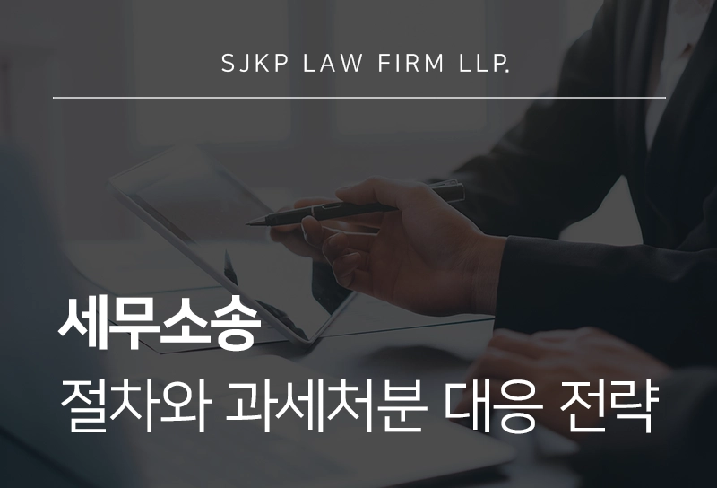 세무소송 절차와 과세처분 대응 전략