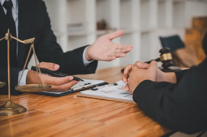 조세불복 개념 설명