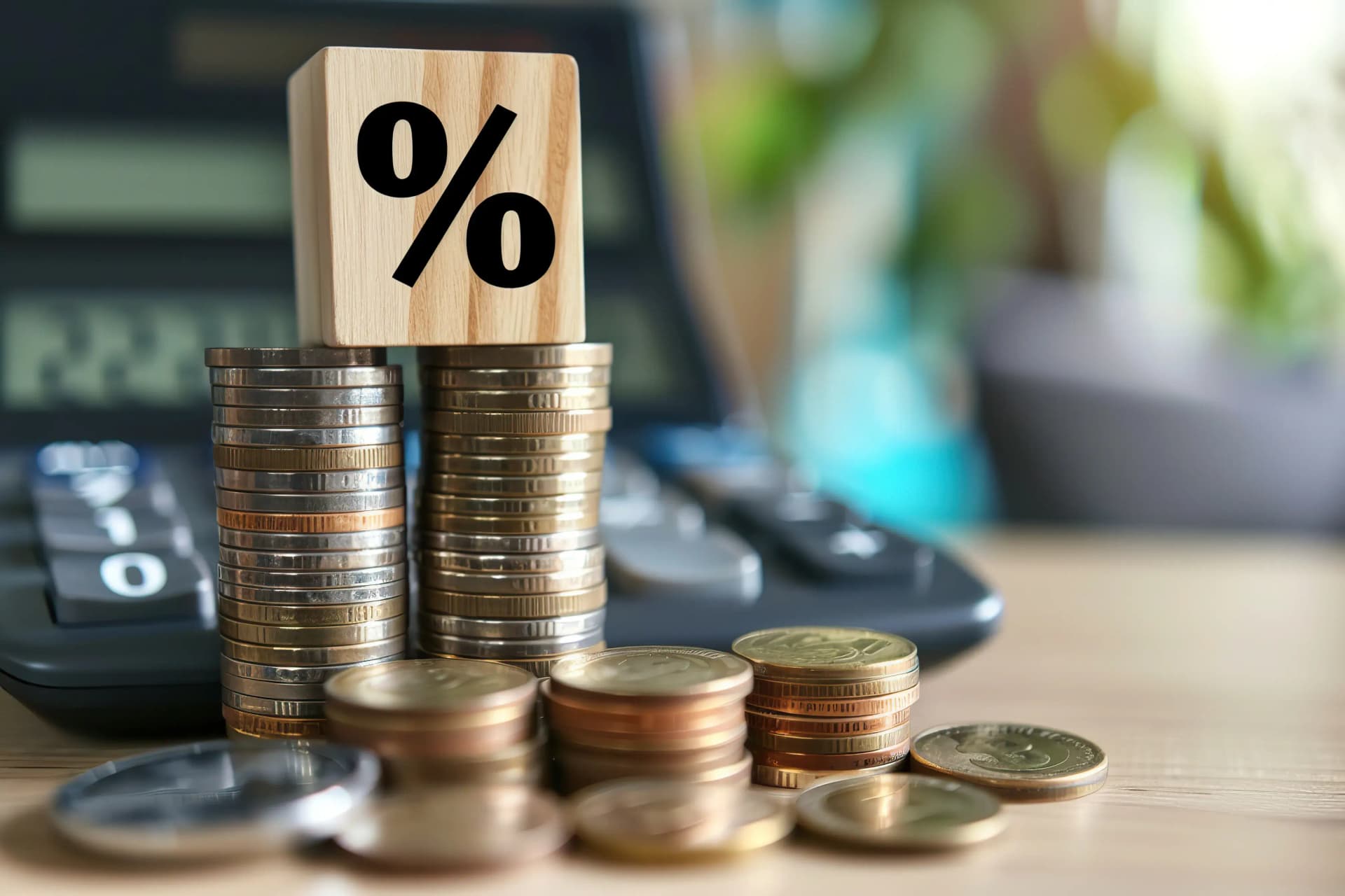 기업 관련 조세자문 업무 분야