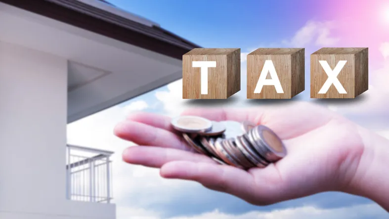 조세심판청구 | 개념과 진행 구조